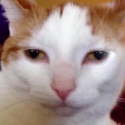 Profile Picture of Adam Tsao (@adamtsao6999) on Youtube