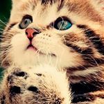 Profile Picture of Juliana Ledesma (@ledesma1206) on Instagram