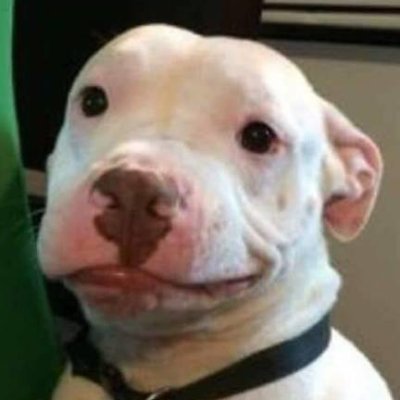 Profile Picture of Jackson (@presteen25) on Twitter