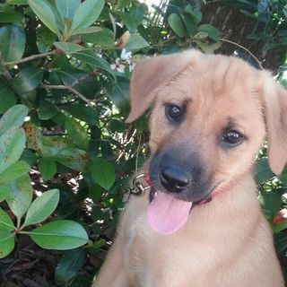 Profile Picture of Peter Mazzoni (@peter.mazzoni.35) on Facebook