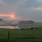 Profile Picture of Brian Macaskill (@macaskill5) on Instagram