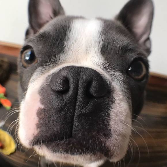 Profile Picture of Owen Bob (@crossfire15) on Poshmark