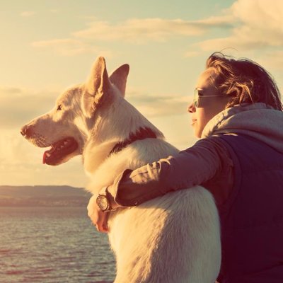 Profile Picture of Kris J.Larson (@proudpetparents) on Twitter
