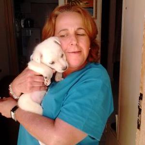 Profile Picture of Vera Rocha (@verarocha502) on Twitter
