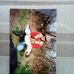 Profile Picture of Nicholas Booth (@nicholas.booth.712) on Facebook