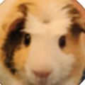 Profile Picture of MacKenzie Stamper (@stamperjm) on Pinterest