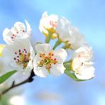 Profile Picture of Birnbaum Aliana (@Birnbaum-Aliana) on Facebook