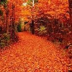 Profile Picture of James Arnold (@James-Arnold) on Facebook