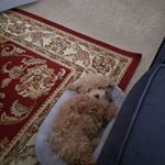 Mike Fugate - Instagram Profile Picture of Mike Fugate (@mike.fugate.5602) on Instagram