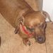 Profile Picture of Richard Workman (@richardw3457) on Pinterest
