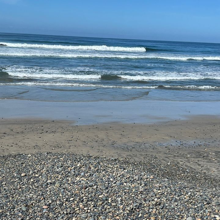 Profile Picture of vivian_brockmeier9 (@vivianbrockmeier9) on Tiktok