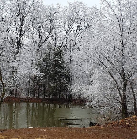 Profile Picture of Judy Schliefert (@ricknjudy) on Poshmark