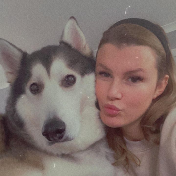 Profile Picture of Wilbur (@wilburthehusky) on Tiktok