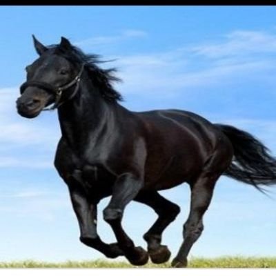 Profile Picture of Fayez Hassan (@fayez_1981) on Twitter