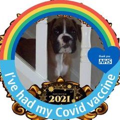 Profile Picture of John Petrie372 (@johnpetrie372) on Tiktok