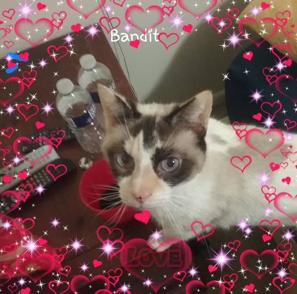 Profile Picture of Jessie malone Hanawalt (@jessicahanawalt) on Poshmark