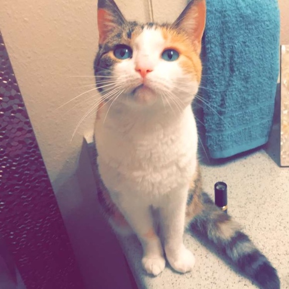 Profile Picture of Mitchell Torok (@torokmitchell) on Poshmark