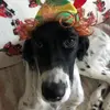 Profile Picture of Erica (@ericadbolt) on Tiktok