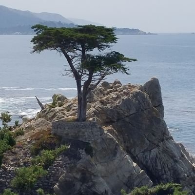 Profile Picture of Brendan Moore (@BQMoore) on Twitter