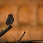 Profile Picture of richard.hoeller (@richard.hoeller) on Instagram