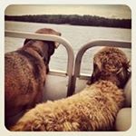 Profile Picture of Lori McKenna (@starbuckmommy) on Instagram