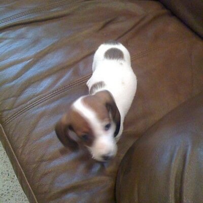 Profile Picture of Cody Patten (@pattencody) on Twitter