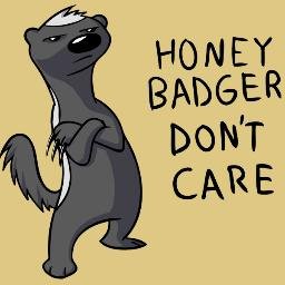 Profile Picture of Todd Cummiskey (@TFHoneyBadger) on Twitter