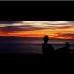 Profile Picture of B O V I C E (@adambovaird) on Instagram