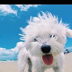 Profile Picture of joy (@jo.ywashington) on Instagram