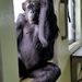Profile Picture of Whitney Mann (@lilmannatee) on Pinterest