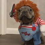 Profile Picture of Schwabenpower (@michael_schwabenpower) on Instagram