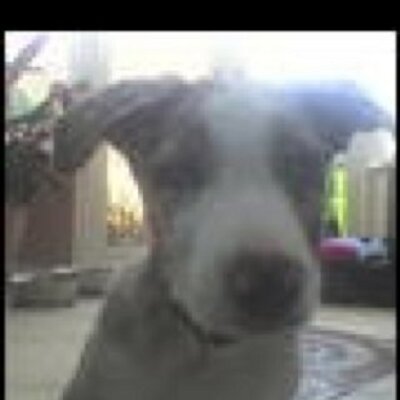 Profile Picture of Tia Wilson (@tiawilson97) on Twitter