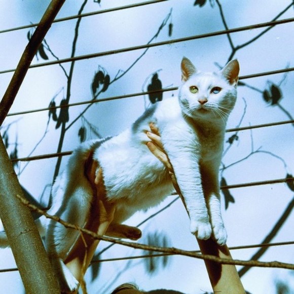 Profile Picture of Mary katherine Dunwody (@m_dunwody) on Poshmark