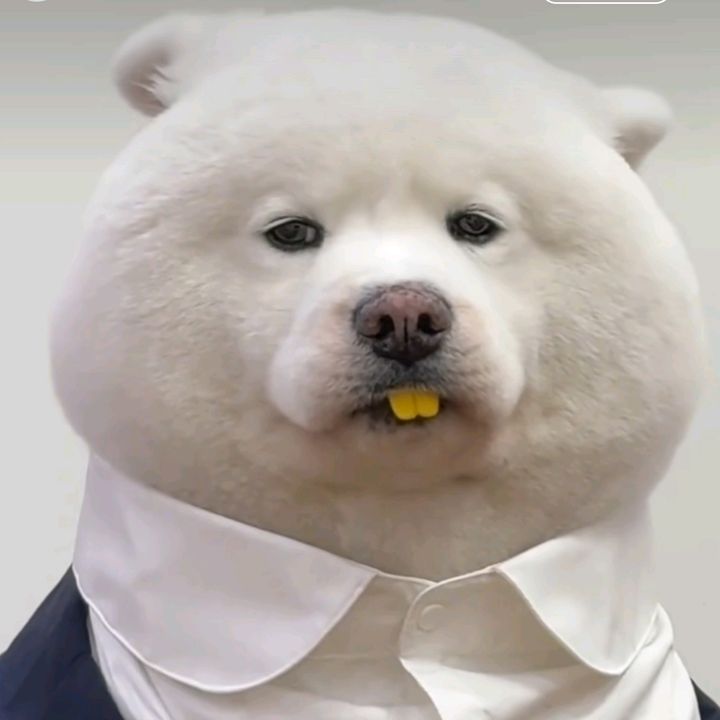 Profile Picture of Adam (@adambarton14) on Tiktok