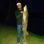 Profile Picture of Tony Fusaro (@fusarot) on Instagram