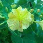 David Chauvet - Instagram Profile Picture of David Chauvet (@david.chauvet.902) on Instagram