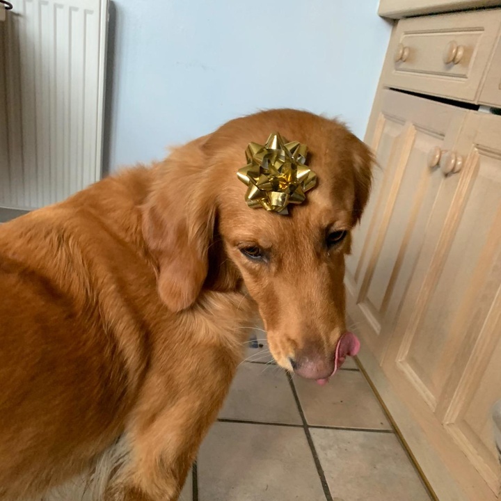 Profile Picture of Tess Fisher (@tessfisher5) on Tiktok