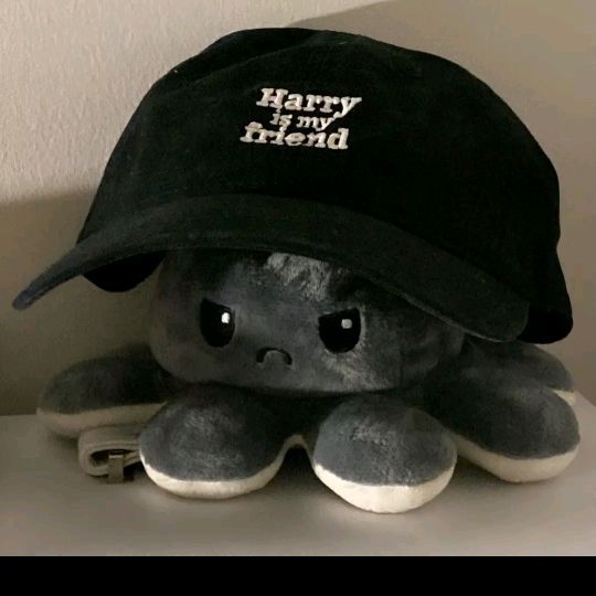 Profile Picture of 회색 문어🐙 (@gray_octopus1) on Tiktok