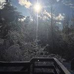 Profile Picture of Nancy Braley (@dnbraley) on Instagram