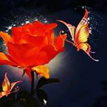 Profile Picture of Sherry Hill Felts (@sherry.h.felts) on Instagram