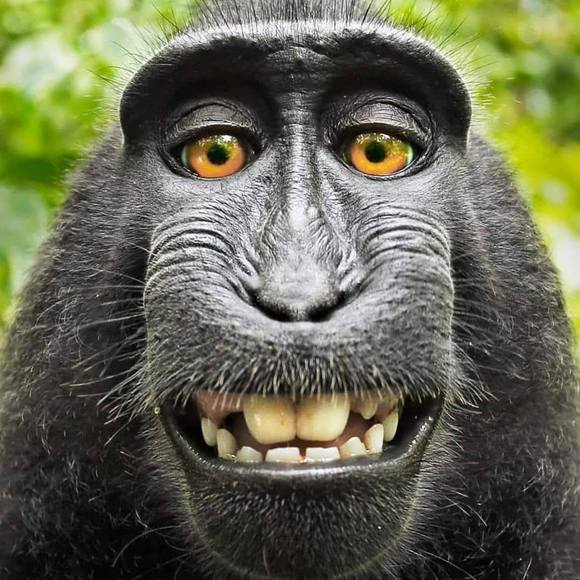 Melanie Coburn elliott - Poshmark Profile Picture of Melanie Coburn elliott (@melanieelliott) on Poshmark