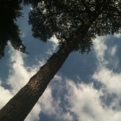 Profile Picture of Kim Jong Rak (@belldown) on Twitter