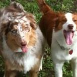 Profile Picture of Scott Ohman (@ohman0136) on Pinterest