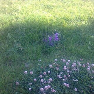 Profile Picture of Larry Burcea (@larry.burcea) on Facebook