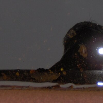 Profile Picture of Josh Schutte (@JoshSchutte) on Twitter