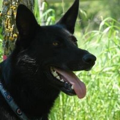 Profile Picture of Kaleb Kramer (@kkramer8) on Twitter