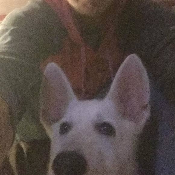 Joseph Bedwell - Poshmark Profile Picture of Joseph Bedwell (@jbedwell13) on Poshmark