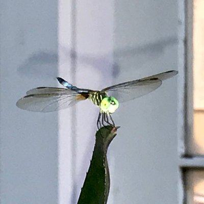 Profile Picture of Thomas Briskey (@tlbrisk1) on Twitter