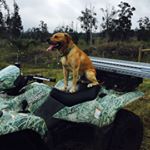 Profile Picture of Justin Branco (@branco.justin) on Instagram