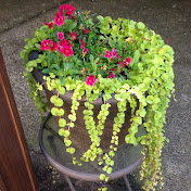 Profile Picture of Michael Miele (@milexm) on Youtube